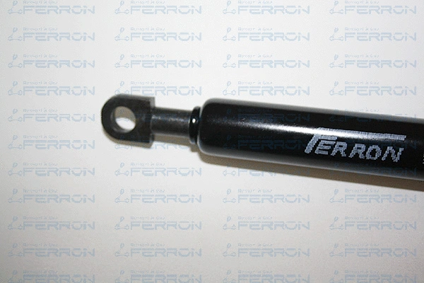 Gas Spring, boot/cargo area