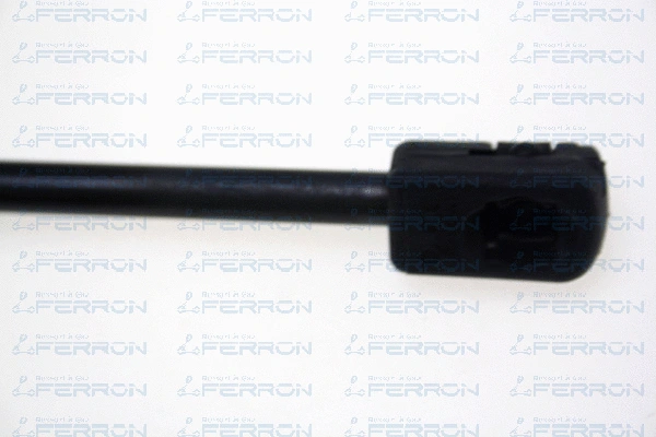 Gas Spring, bonnet