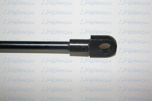 Gas Spring, bonnet