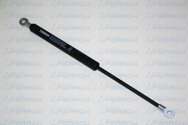 Gas Spring, boot/cargo area (284)