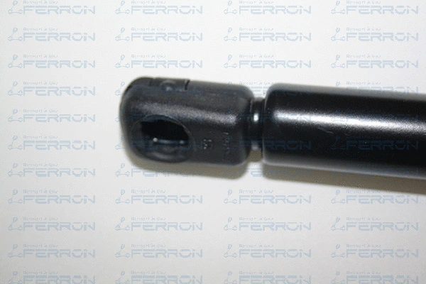Gas Spring, boot/cargo area