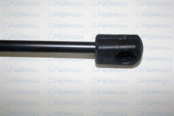 Gas Spring, boot/cargo area