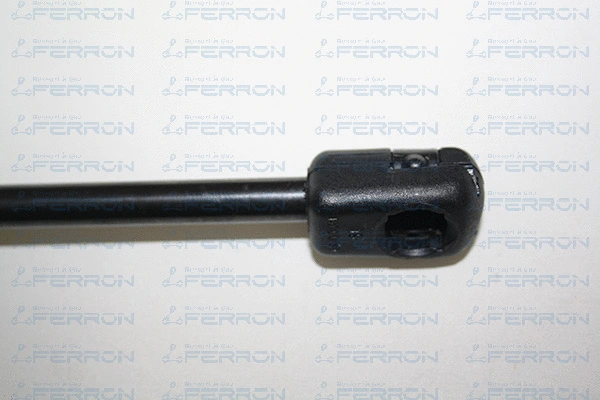 Gas Spring, boot/cargo area