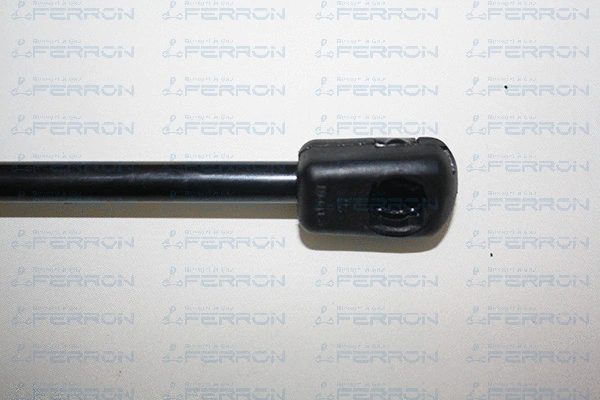 Gas Spring, boot/cargo area