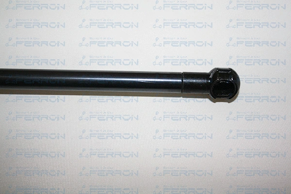 Gas Spring, boot/cargo area