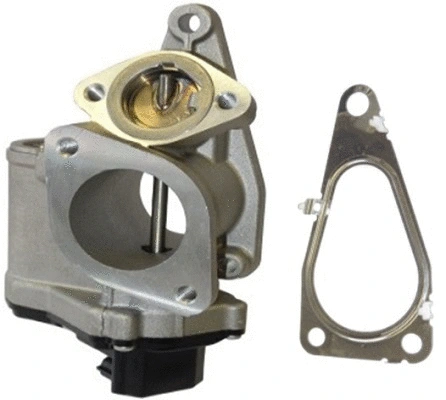 EGR Valve (TOP11450036)