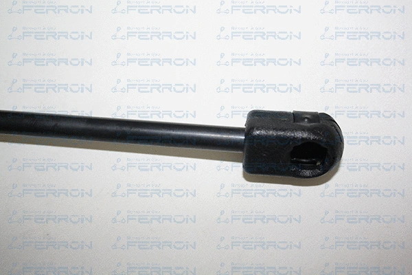 Gas Spring, bonnet
