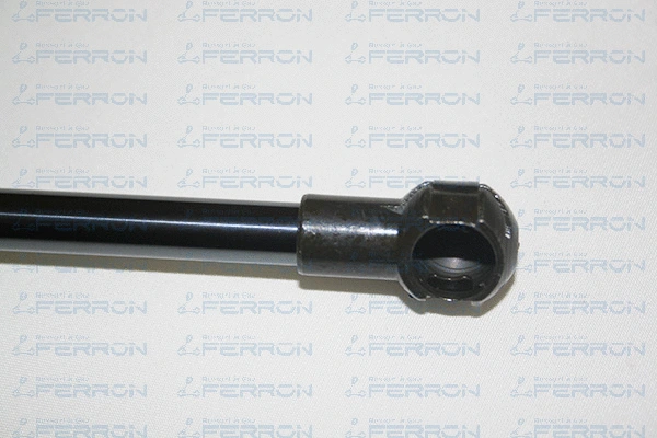 Gas Spring, boot/cargo area