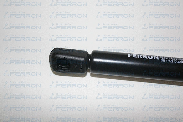 Gas Spring, boot/cargo area