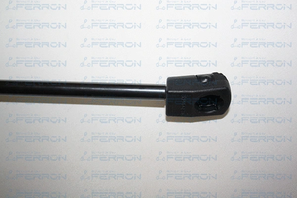 Gas Spring, bonnet