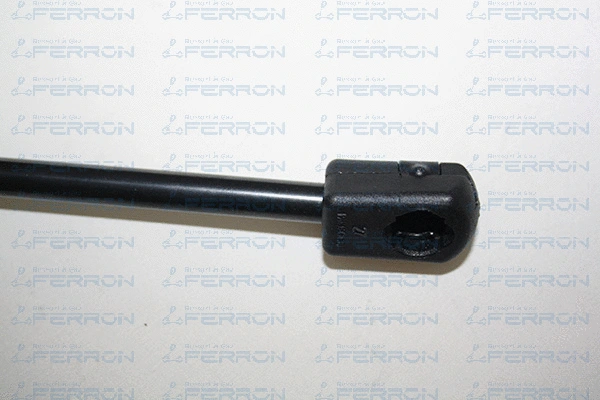 Gas Spring, boot/cargo area
