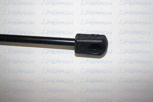 Gas Spring, boot/cargo area