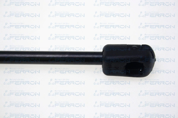 Gas Spring, boot/cargo area