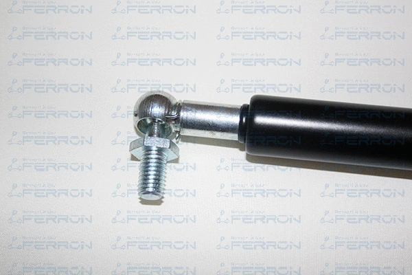 Gas Spring, boot/cargo area