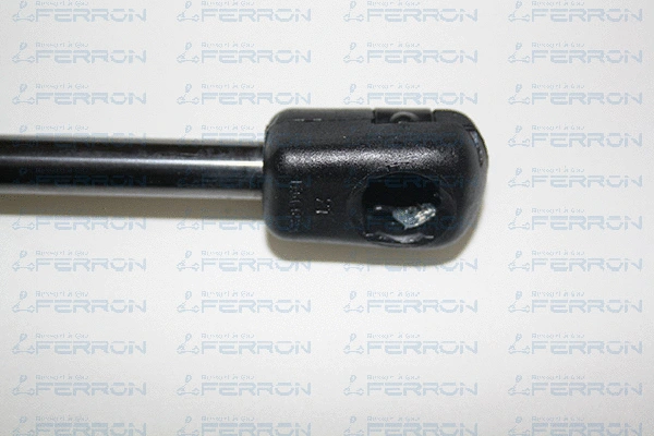 Gas Spring, boot/cargo area