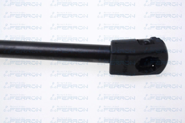 Gas Spring, boot/cargo area