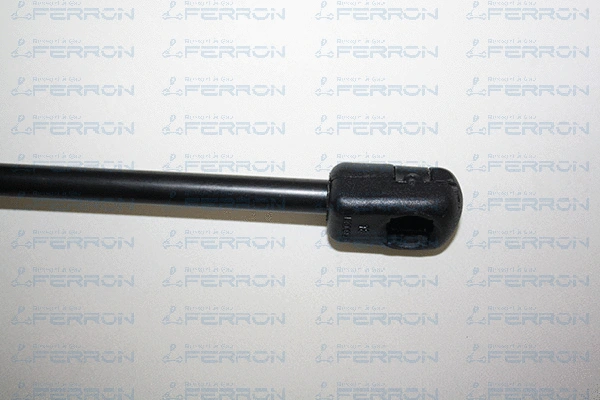 Gas Spring, boot/cargo area