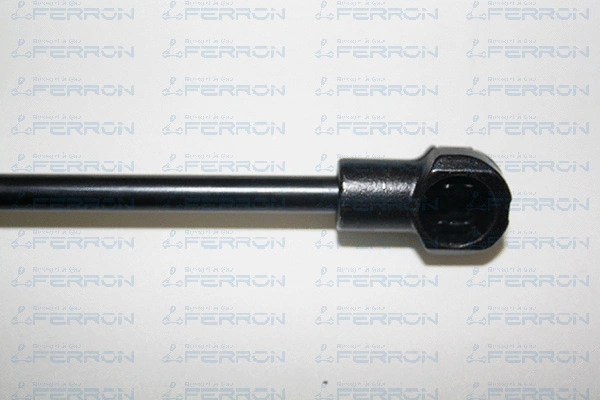 Gas Spring, bonnet