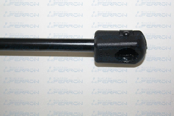 Gas Spring, boot/cargo area