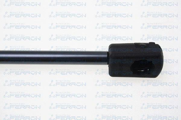 Gas Spring, boot/cargo area