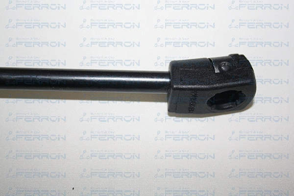 Gas Spring, boot/cargo area