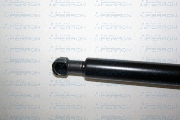 Gas Spring, boot/cargo area