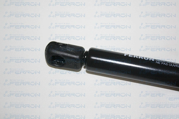 Gas Spring, boot/cargo area
