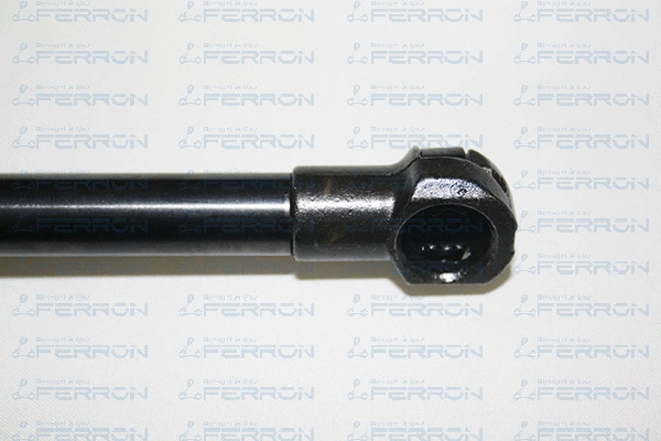 Gas Spring, boot/cargo area