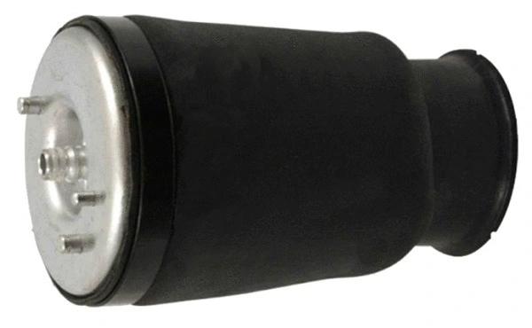 Air Spring, suspension (TOP35340007)