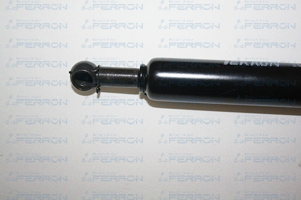 Gas Spring, boot/cargo area