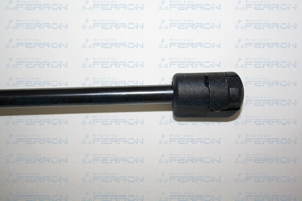 Gas Spring, boot/cargo area