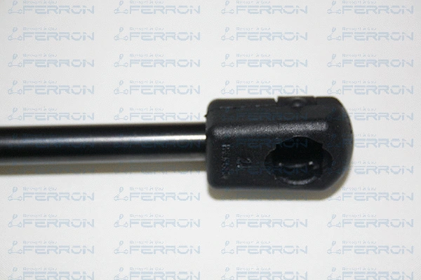 Gas Spring, boot/cargo area