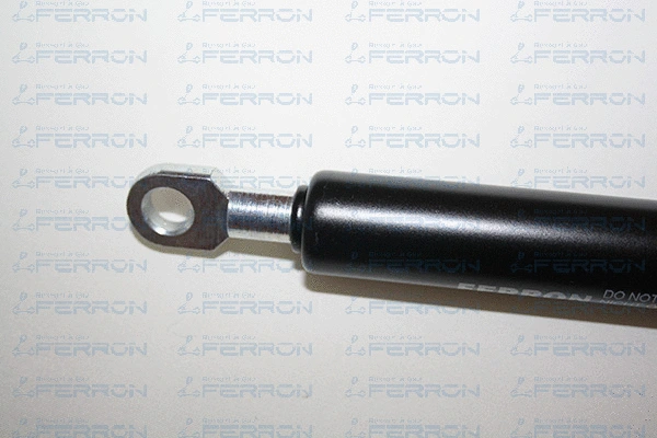 Gas Spring, boot/cargo area