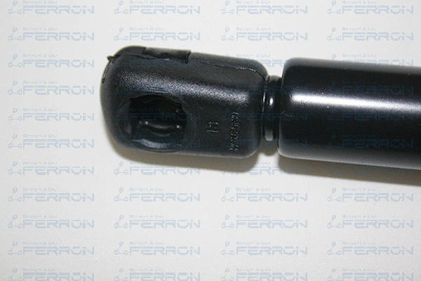 Gas Spring, boot/cargo area (66)