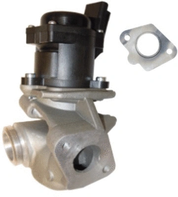 EGR Valve (TOP11450014)