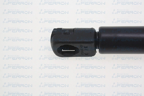 Gas Spring, boot/cargo area