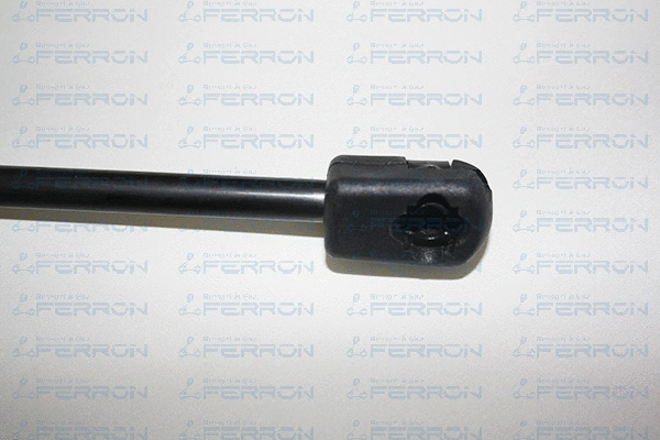 Gas Spring, boot/cargo area