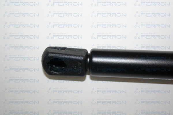 Gas Spring, boot/cargo area