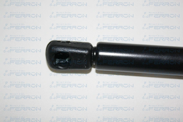 Gas Spring, boot/cargo area
