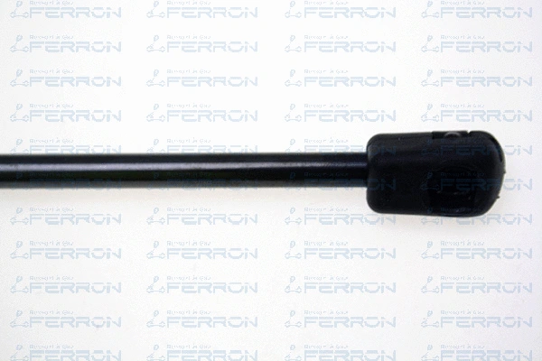 Gas Spring, boot/cargo area