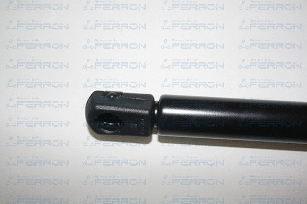 Gas Spring, boot/cargo area