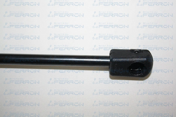 Gas Spring, boot/cargo area