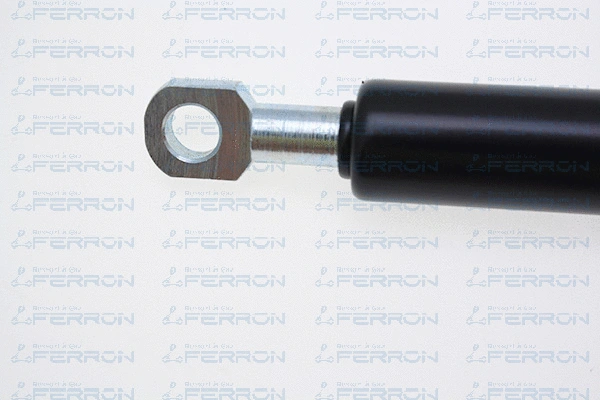 Gas Spring, bonnet