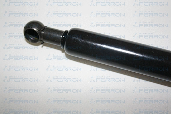 Gas Spring, bonnet