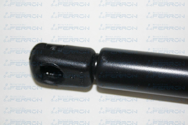 Gas Spring, boot/cargo area