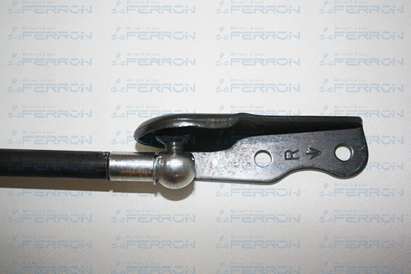 Gas Spring, boot/cargo area