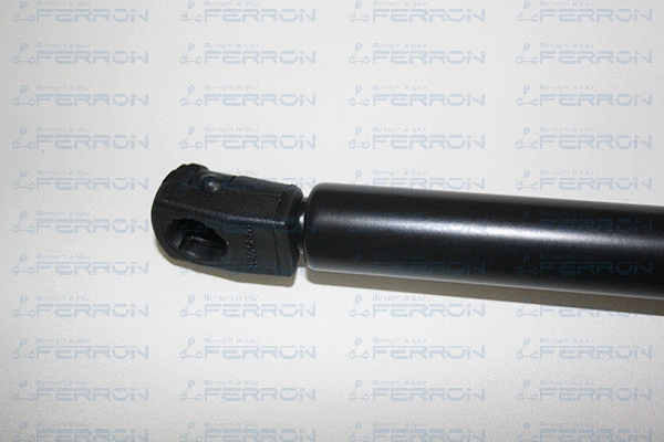 Gas Spring, boot/cargo area