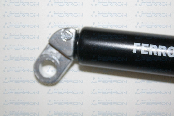 Gas Spring, boot/cargo area