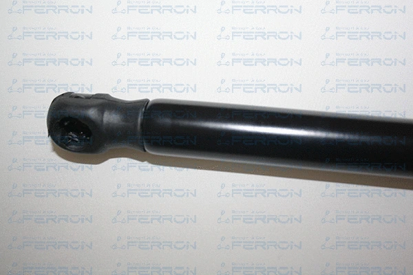 Gas Spring, boot/cargo area