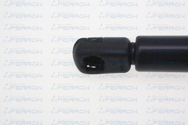 Gas Spring, bonnet